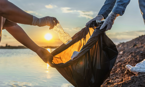 Un espoir pour dégrader et recycler le plastique avec ces micro-organismes venus du froid